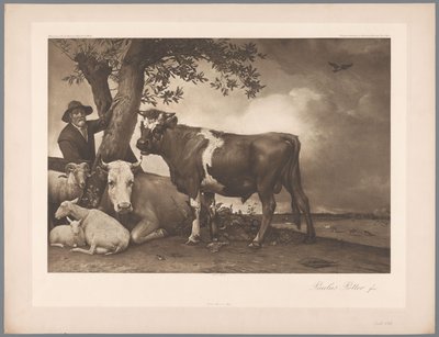 Paulus Potter