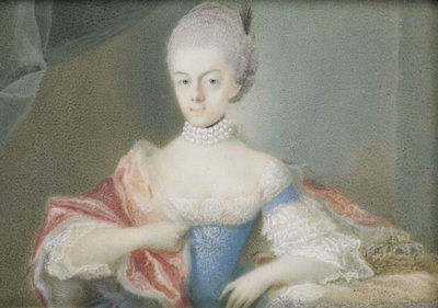 Frederika Sophia Wilhelmina (1751-1820), Prusya Prensesi, Prens William V