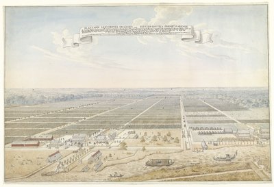 Surinam Plantation'daki Leeverpoel kahve plantasyonunun görünümü Leeverpoel Geleegen Rievier Cottica sola yelken açıyor (nesnedeki başlık) by Anonymous