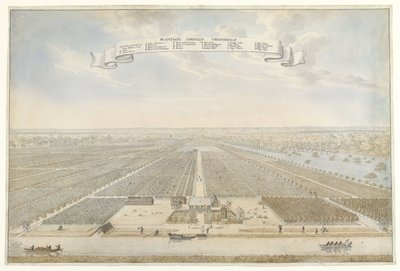 Surinam Cornelis Vriendschap plantasyonundaki Cornelis Vriendschap plantasyonunun görünümü (nesne üzerindeki başlık) by Anonymous