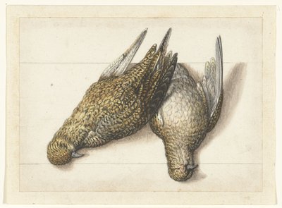 Goudplevier Lombard albümü (seri başlığı) by Anonymous