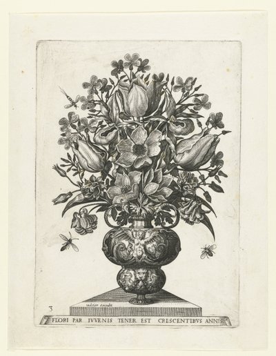 Çiçekli grotesk vazo Çiçekli vazolar (seri başlığı) by Anonymous