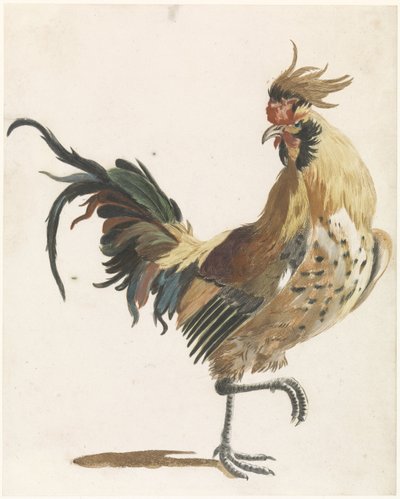 Sağa yürüyen horoz (versiyon B) by Anonymous