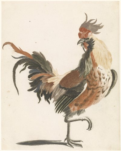 Sağa yürüyen horoz (versiyon A) by Anonymous