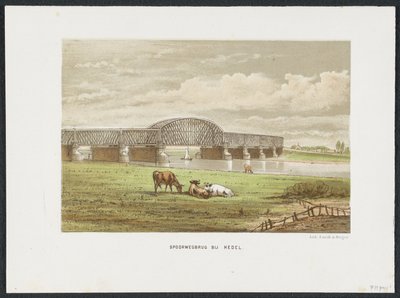 Maas üzerindeki Hedelse demiryolu köprüsü, 1870 Hedel