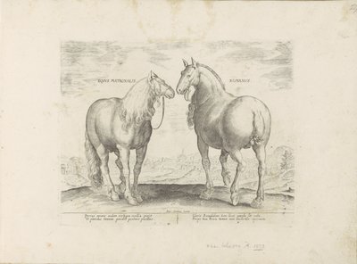 Hengst en merrie uit Roma Roma atı (nesne üzerindeki başlık) Paardenrassen uit de Koninklijke stallen van Don Juan van Oostenrijk (seri başlığı) Tüm ırkların en soylusu olan bir ahır: dünyanın çeşitli yerlerinden gelen atların karakteri ile ayırt edilir ( by Anonymous