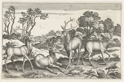 geyik Dört ayaklı hayvanlar (dizi adı) Animalivm Qvaddrvpedvm (dizi başlığı) by Anonymous