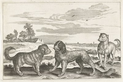 köpekler Dört ayaklı hayvanlar (dizi adı) Animalivm Qvaddrvpedvm (dizi başlığı) by Anonymous