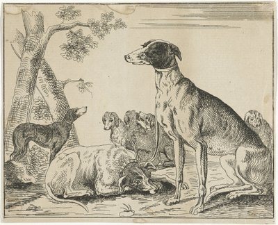 Köpek kulübesi by Anonymous