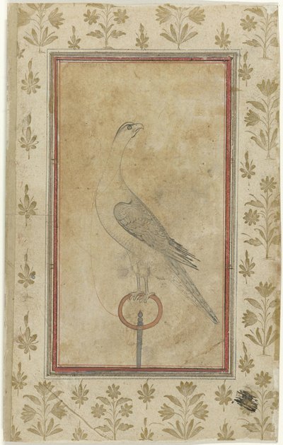 av şahin by Anonymous