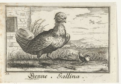 civciv ile tavuk Kına, Gallina. (nesne üzerindeki başlık) by Anonymous