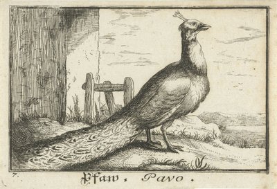 Tavus kuşu ile manzara Pfaw, Pavo (nesne üzerindeki başlık) by Anonymous