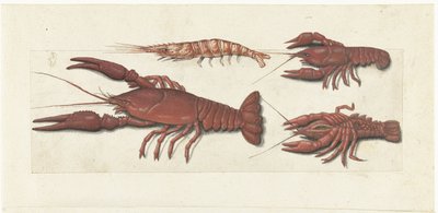 Langoustine, iki kerevit ve karides Lombard albümü (seri başlığı) by Anonymous