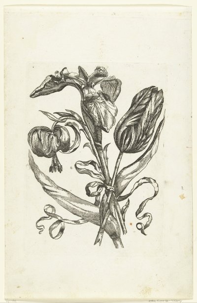 Lelie, gökkuşağı ve tulp Yeni Çiçek Simgeleri (seri başlığı) by Anonymous