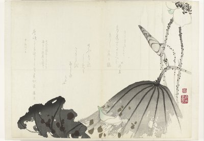 Lotus yaprağı Albümü Shijo-surimono 1840-1900 döneminden (seri başlığı) by Anonymous
