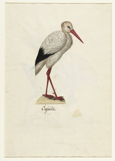 Ooievaar Cigüeña (nesne üzerindeki başlık) Lombard albümü (seri başlığı) by Anonymous