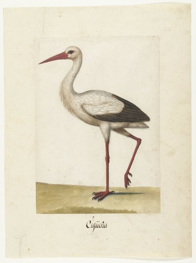 Ooievaar Cigüeña (nesne üzerindeki başlık) Lombard albümü (seri başlığı) by Anonymous