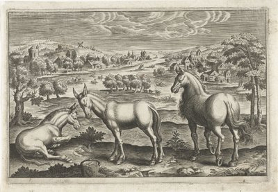 at ve eşekler Dört ayaklı hayvanlar (dizi adı) Animalivm Qvaddrvpedvm (dizi başlığı) by Anonymous