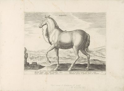 (nesne üzerindeki başlık) Paardenrassen uit de Koninklijke stallen van Don Juan van Oostenrijk (seri başlığı) Equile by Anonymous