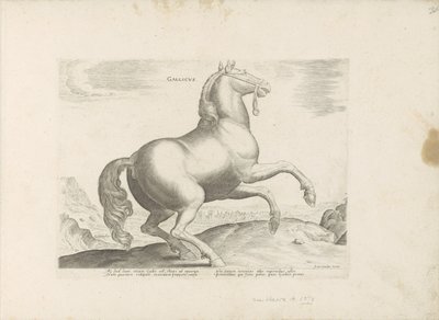 Paard, Frankrijk