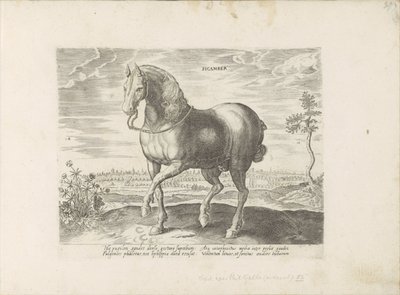 Paard Gelre