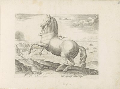 Paard Spanje