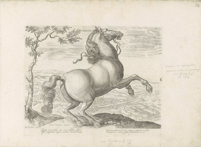 Paard, Toscane