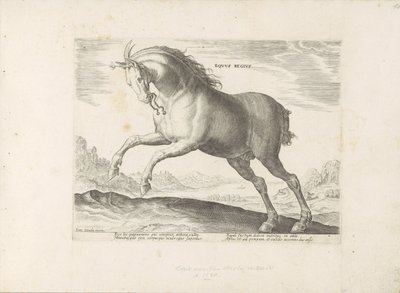 Paard van het ras Equus Regius (de Koninklijke) Kraliyet Atı (nesne üzerindeki başlık) Paardenrassen uit de Koninklijke stallen van Don Juan van Oostenrijk (seri başlığı) Her türden en soylu olan bir ahır: dünyanın çeşitli yerlerinden gelen atların görgü k by Anonymous