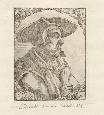 Macaristan Kralı II. Louis