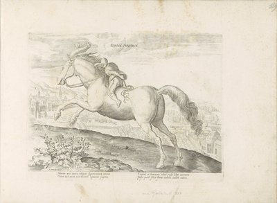 Renpaard, Ruiter