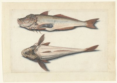 Rode poon Lombard albümü (seri başlığı) by Anonymous