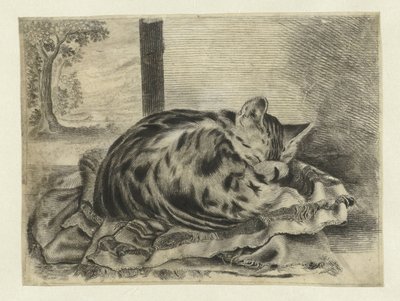 uyuyan kedi by Anonymous