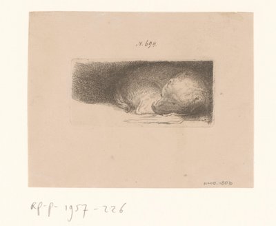 Uyuyan köpek yavrusu by Anonymous