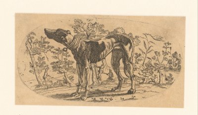Bir manzara önünde duran köpek by Anonymous
