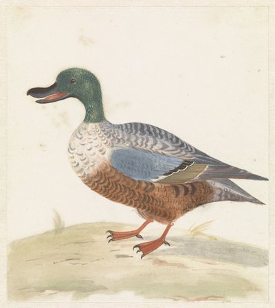 Solda duran kürek by Anonymous