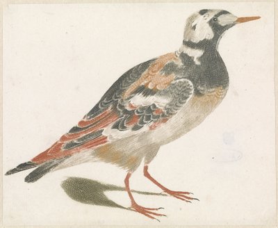 dönüm taşı by Anonymous