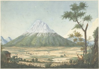Dağlar ile tropikal manzara by Anonymous