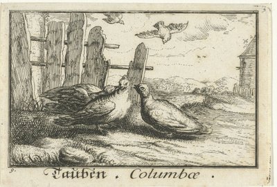 Bir çit, iki güvercin Tauben, Columbae (nesne üzerindeki başlık) by Anonymous