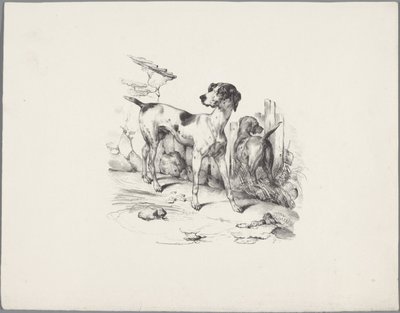 Bir çitin yanında iki köpek Altı küçük hayvan çalışması (dizi başlığı) Altı küçük canavar çalışması (nesne üzerine seri başlığı) by Anonymous