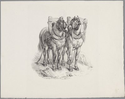 İki bakımlı at Altı küçük hayvan çalışması (dizi başlığı) Altı küçük canavar çalışması (nesne üzerine seri başlığı) by Anonymous