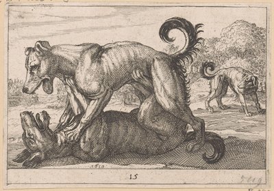 İki çiftleşme ve iki dövüş köpeği Fighting Animals (kopyalar) (dizi adı) by Anonymous