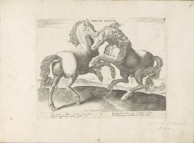 Twee vechtende paarden Duel Equinum (nesne üzerindeki başlık) Her türden en asil olan bir at: dünyanın çeşitli yerlerinden seçilen atların seçkin bir karakteri (...) (nesne üzerine seri başlığı) by Anonymous