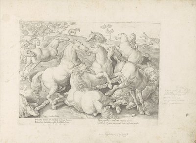 Vechtende paarden Her türden en asil olan bir at: dünyanın çeşitli yerlerinden seçilen atların seçkin bir karakteri (...) (nesne üzerine seri başlığı) by Anonymous