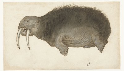 Mors Lombard albümü (seri başlığı) by Anonymous