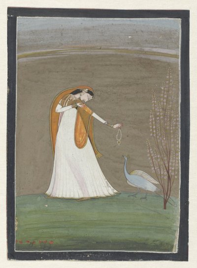 Tavus kuşu olan kadın by Anonymous