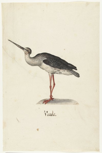 Zwarte Ruiter Vecada (nesne üzerindeki başlık) Lombard albümü (seri başlığı) by Anonymous