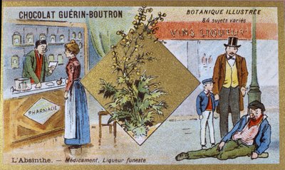 Absinthe: ilaç ve ölümcül likör. Gravür (kromo). 19. yüzyılın sonlarında Guerin-Boutron çikolataları için reklam kromolitografisi. Illustree Botanik Serisi. by Anonymous Anonymous
