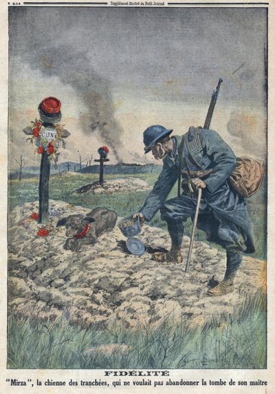 Birinci Dünya Savaşı 1914-1918 (14-18 Savaşı). Ölen efendisinin mezarını siperde terk etmeyi reddeden bir köpek. “” Le Petite Journal””da, 10/09/1916. Özel koleksiyon by Anonymous Anonymous