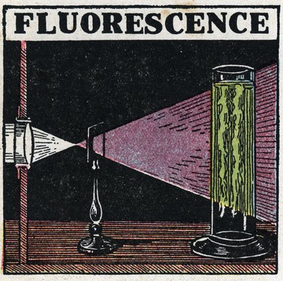 Floresan: cisimlerin floresansının kanıtı. 1925