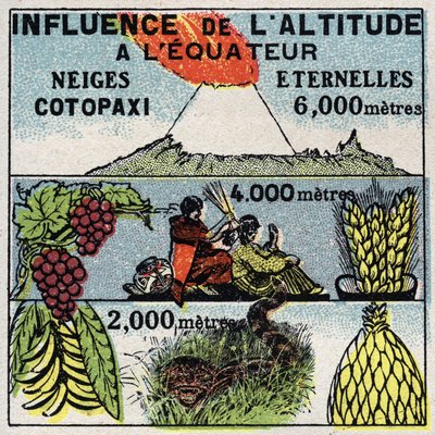 Meteoroloji: Yüksekliğin iklim üzerindeki etkisi. 1925